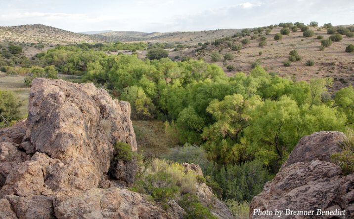 Pictures of Land property located at 1515 Separ Rd, Silver City, NM 88061 for sales - image #1