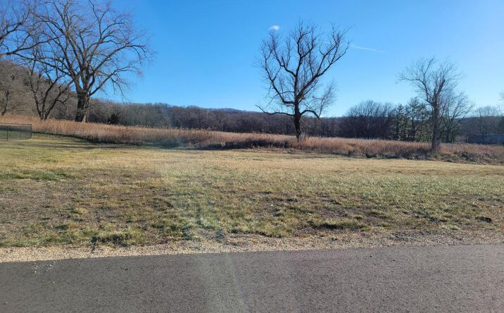 Pictures of Land property located at 1205 Briella Ave, Rushford, MN 55971 for sales - image #1