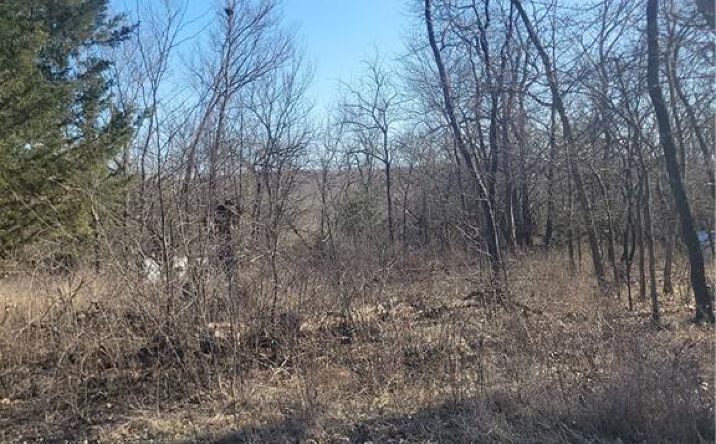Pictures of Land, Special Purpose property located at 98 Maple Drive, Linn Valley, KS 66040 for sales - image #1