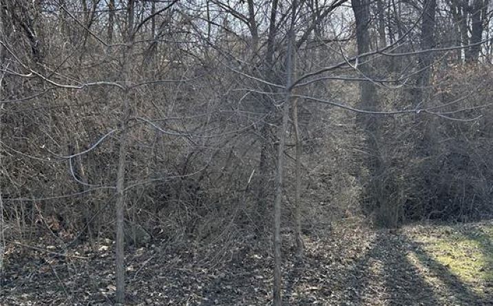 Pictures of Land, Multifamily property located at No address Avenue, Kansas City, MO 64126 for sales - image #1
