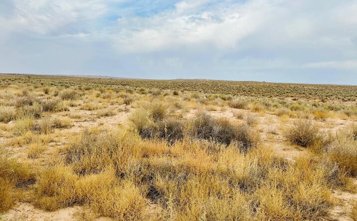 Pictures of Land property located at 3691 Kaiser Rd NE, Rio Rancho, NM 87144 for sales - image #1