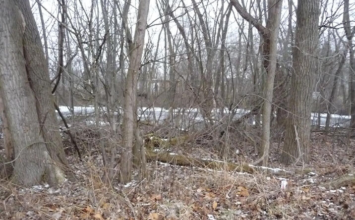 Pictures of Land property located at 5455 Connecticut Street, Merrillville, IN 46410 for sales - image #1