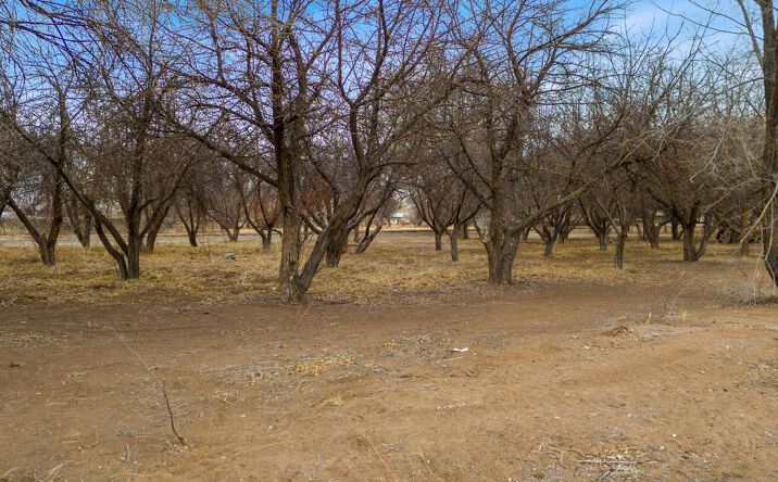 Pictures of Land property located at 60 Blue Sky, Corrales, NM 87048 for sales - image #1