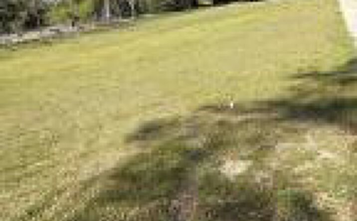 Pictures of Land property located at 0 Hill Street, Allendale, SC 29810 for sales - image #1