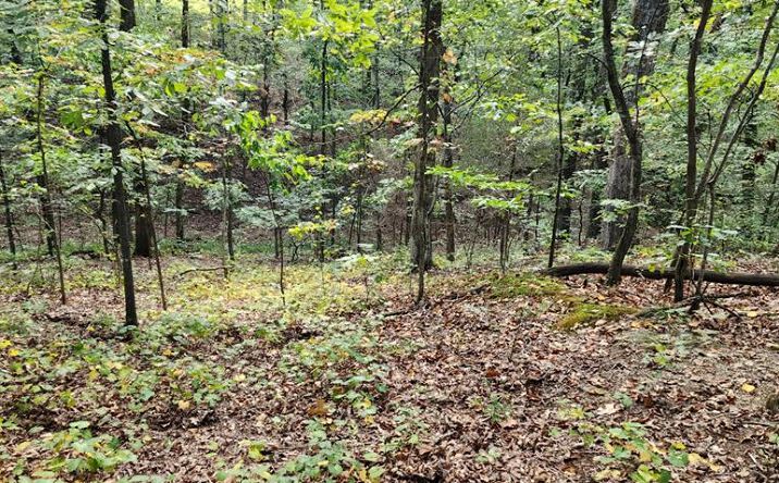 Pictures of Land property located at 000 Stirling Access Rd, Camden, TN 38320 for sales - image #1