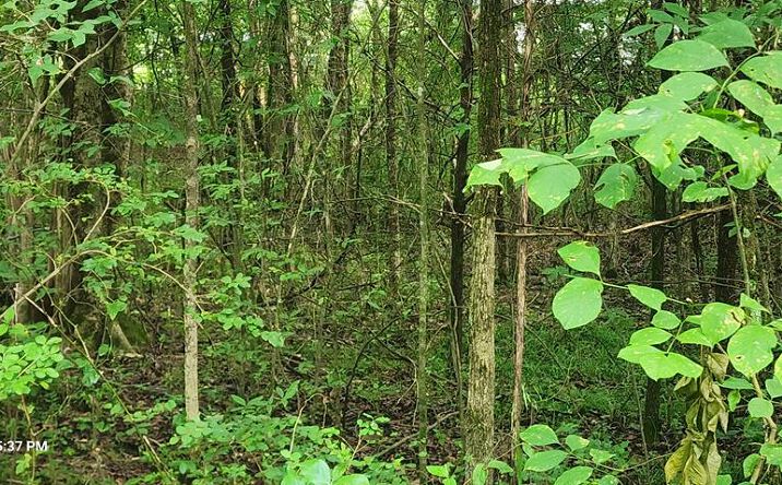 Pictures of Land property located at 000 Shady Lane, Big Sandy, TN 38221 for sales - image #1