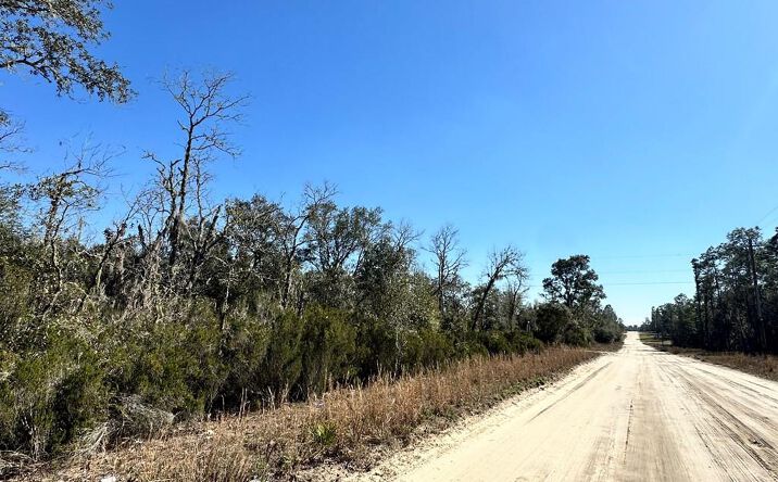 Pictures of Land property located at 000 NE 67th Ln, Williston, FL 32696 for sales - image #1