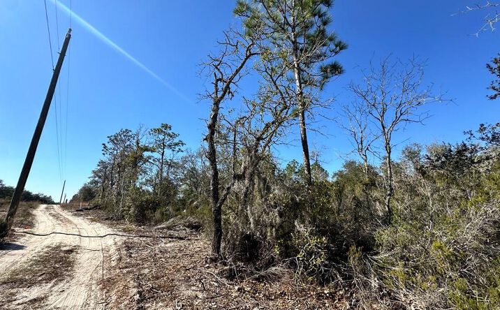 Pictures of Land property located at 000 NE 63rd Pl, Williston, FL 32696 for sales - image #1