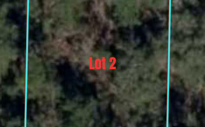Pictures of Land property located at 000 NE 66th Ln, Williston, FL 32696 for sales - image #1