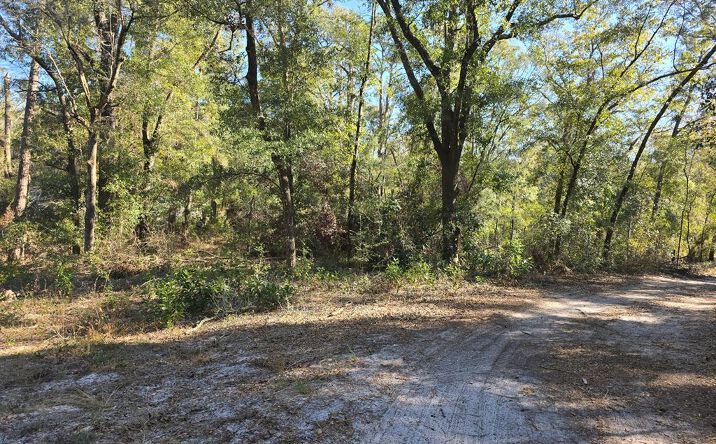 Pictures of Land property located at TBD NW 57th Ln, Chiefland, FL 32626 for sales - image #1