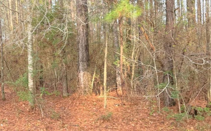 Pictures of Land property located at 0 Hideaway Lane Lot 295, Carriere, MS 39426 for sales - image #1
