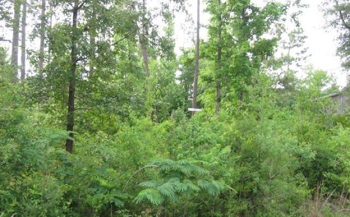 Pictures of Land property located at 0 W Lakeshore Dr Lot 929, Carriere, MS 39426 for sales - image #1