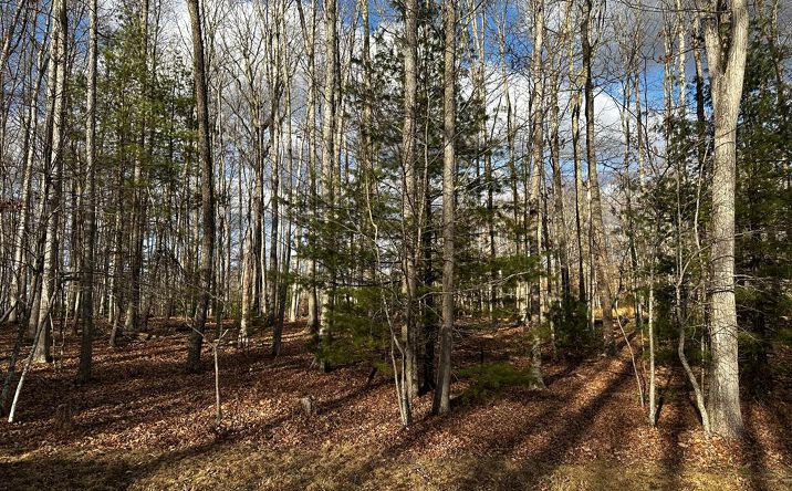 Pictures of Land property located at 229 Glen Garden Lane, Daniels, WV 25832 for sales - image #1
