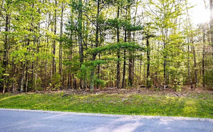 Pictures of Land, Multifamily property located at 301 Royal Oaks Dr # 1, Daniels, WV 25832 for sales - image #1