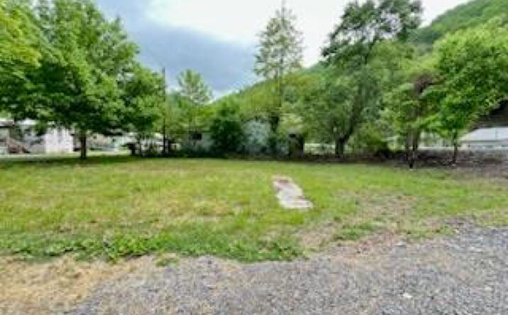 Pictures of Land, Multifamily property located at 717 Raysal, Raysal, WV 24879 for sales - image #1