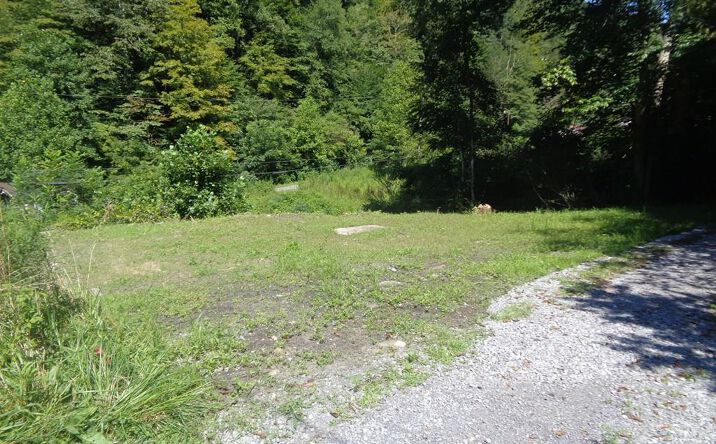 Pictures of Land property located at 00 Shaft Hollow Rd, War, WV 24892 for sales - image #1