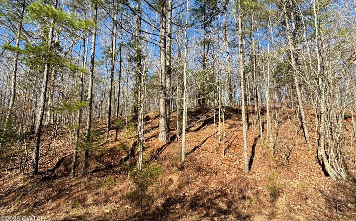 Pictures of Land property located at 0 Hollywood Dr., Saulsbury, TN 38067 for sales - image #1