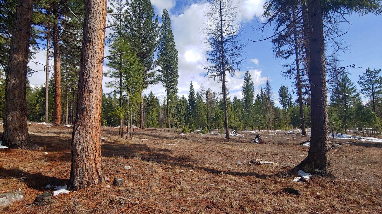 19920 Alder Creek Road, Bigfork, MT 59911 | Crexi.com