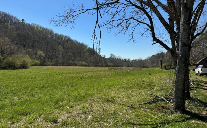 Pictures of Land property located at Berney Station Rd, Talladega, AL 35160 for sales - image #1