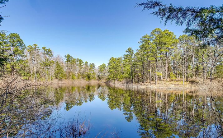 Pictures of Retail, Land property located at 84 Acre Property, Winnsboro, TX 75494 for sales - image #1