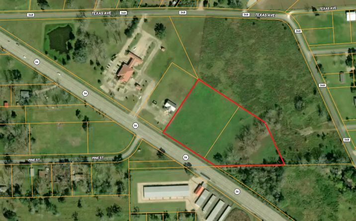 Pictures of Land property located at TX-36, Brazoria, TX 77422 for sales - image #1