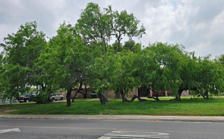 Pictures of Land, Multifamily property located at 0 Palm Blvd., Brownsville, TX 78520 for sales - image #1