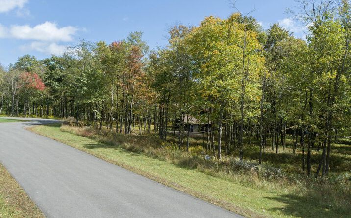 Pictures of Land property located at Lot 42 Sandstone Circle, McHenry, MD 21541 for sales - image #1