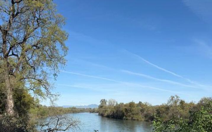 Pictures of Land property located at 19886 Riverside Ave, Anderson, CA 96007 for sales - image #1