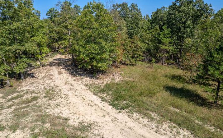 Pictures of Land property located at Madison CR 411, Fredericktown, MO 63645 for sales - image #1