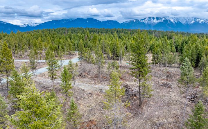 Pictures of Land property located at Nhn Lot #32 Osprey Loop, Fortine, MT 59918 for sales - image #1