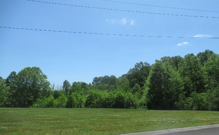 Pictures of Land property located at Tom Austin Hwy, Springfield, TN 37212 for sales - image #1