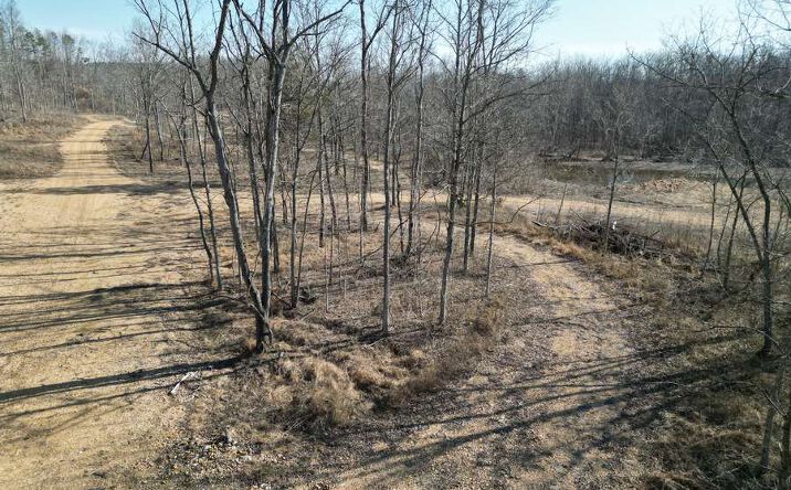 Pictures of Land property located at 410 Madison Plaza Dr, Fredericktown, MO 63645 for sales - image #1