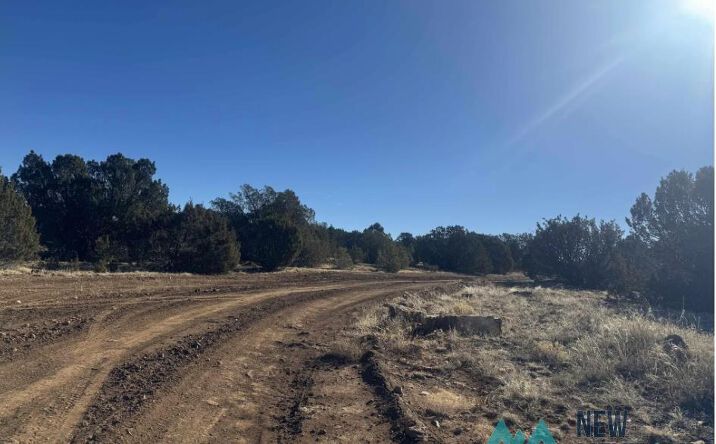 Pictures of Land property located at 320+/- acres Apache Mesa Avenue, Los Montoyas, NM 87701 for sales - image #1