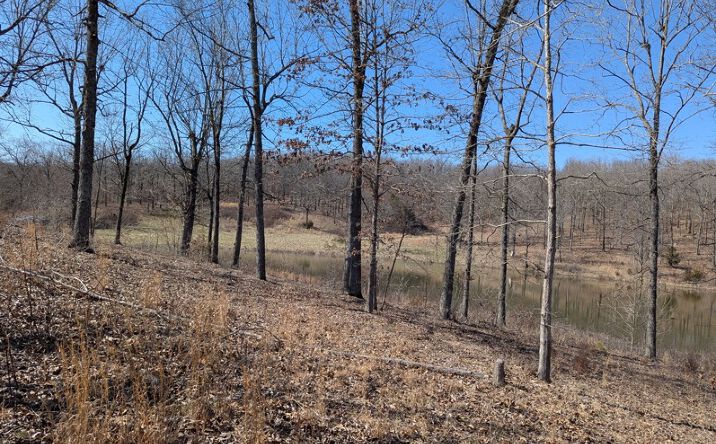image of property at 5642 OAK RIDGE RD Ravenden Springs AR 72460-9310