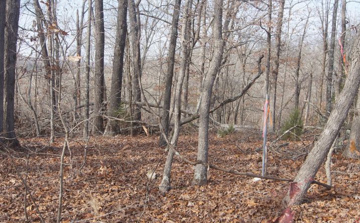 Pictures of Land property located at TBD Hwy 63 N, Highland, AR 72542 for sales - image #1