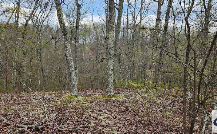 Pictures of Land, Multifamily property located at id40 Greenbriar Ct, Holladay, TN 38341 for sales - image #1