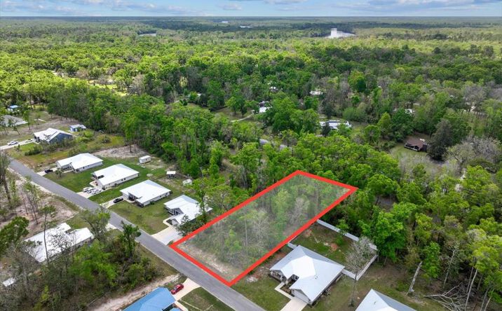 Pictures of Land property located at Katherine Way, Fanning Springs, FL 32693 for sales - image #1