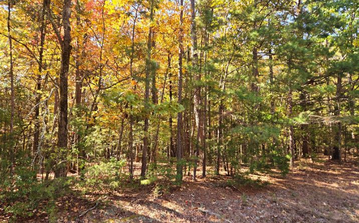 Pictures of Land property located at Lot 149 Grenada Circle, Shirley, AR 72088 for sales - image #1