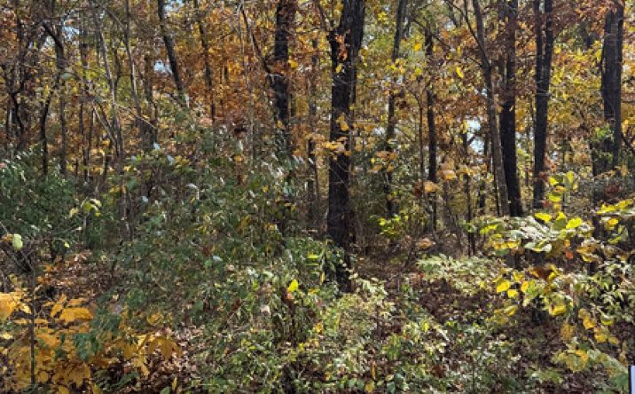 Pictures of Land property located at 000 Menominee Dr, Cherokee Village, AR 72529 for sales - image #1