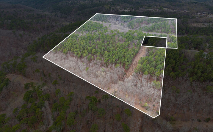 Pictures of Land, Mixed Use property located at Jordan Dr, Eureka Springs, AR 72632 for sales - image #1