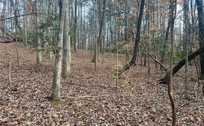 Pictures of Land property located at Lot 28 Fern Park Drive, Dawsonville, GA 30534 for sales - image #1