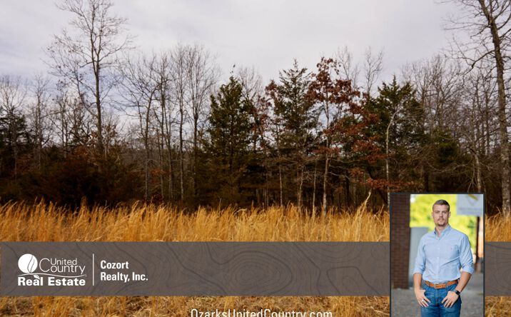 Pictures of Land property located at Lot 18 Oakridge Drive, Gepp, AR 72538 for sales - image #1