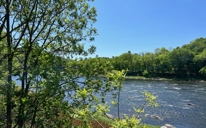 Pictures of Special Purpose, Land property located at 32 River Road, Barryville, NY 12719 for sales - image #1