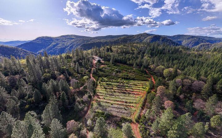 Pictures of Land property located at 10571 Sebastopol Road, North San Juan, CA 95960 for sales - image #1