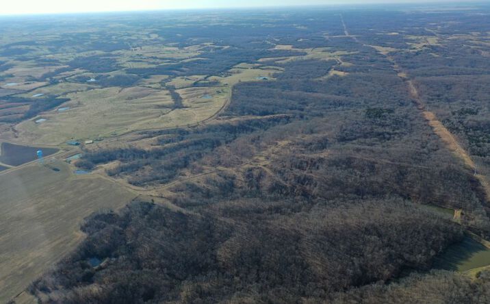 Pictures of Land property located at 0 Hwy F, Glenwood, MO 63541 for sales - image #1