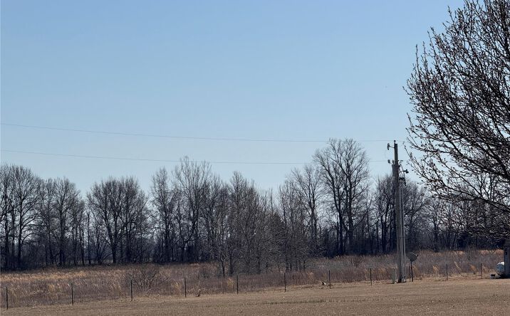 Pictures of Land property located at 0 County 442 Road, Kennett, MO 63857 for sales - image #1