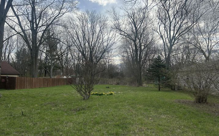 Pictures of Land property located at 5565 Swift Street, Hobart, IN 46342 for sales - image #1