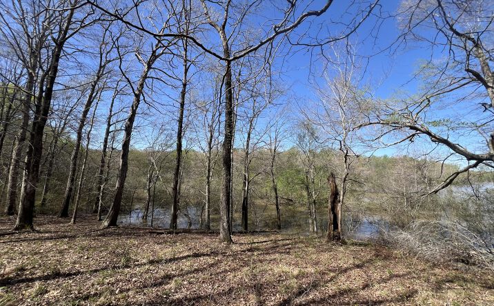 Pictures of Land property located at 1240 Strike King Dr. (Lot 188), Cedar Grove, TN 38321 for sales - image #1