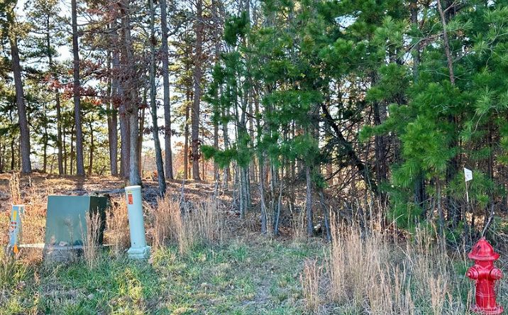 Pictures of Retail, Land property located at Lot 40 Swiss Alps Lane, Mountain Home, AR 72653 for sales - image #1