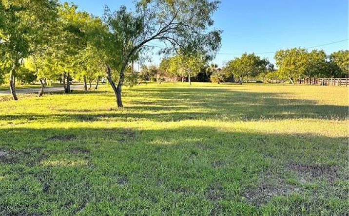 Pictures of Land property located at 26841 Iowa Gardens Road, San Benito, TX 78586 for sales - image #1